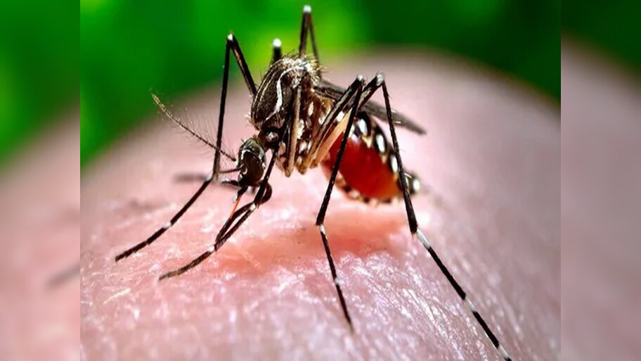 Zika Virus Cases Pune: पुणे में आए जीका वायरस के 6 मामले, दो गर्भवती महिलाएं भी पीड़ित