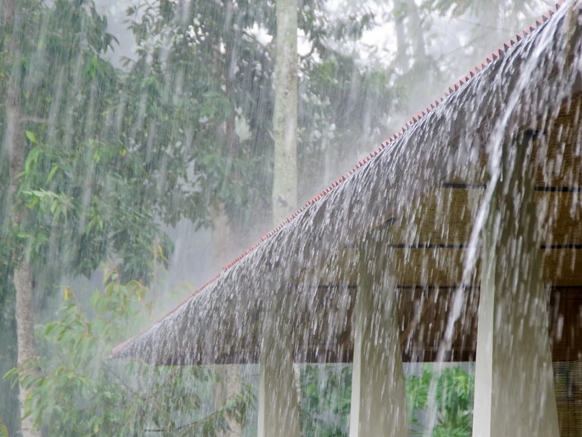 Monsoon Season: बारिश के मौसम में इन बातों का रखें ध्यान, बीमारियों से करें अपना बचाव