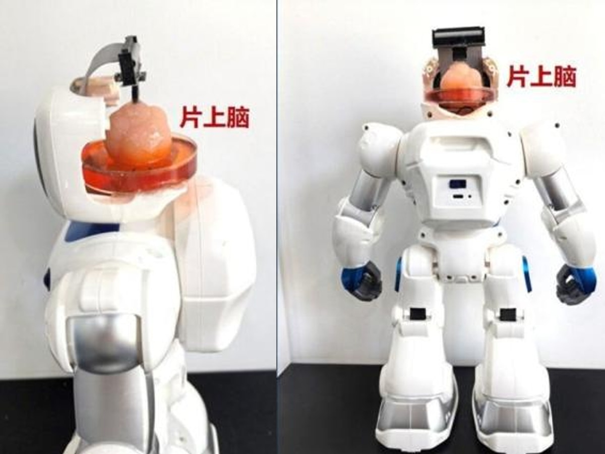 कौन कहता है कि रोबोट इंसान की जगह नहीं ले सकता? अरे भाई! चीनी वैज्ञानिकों ने ऐसा कर दिखाया