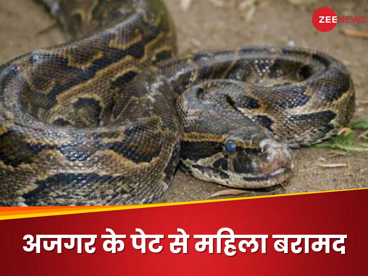 Missing Indonesian woman found dead but in one piece inside Python ...