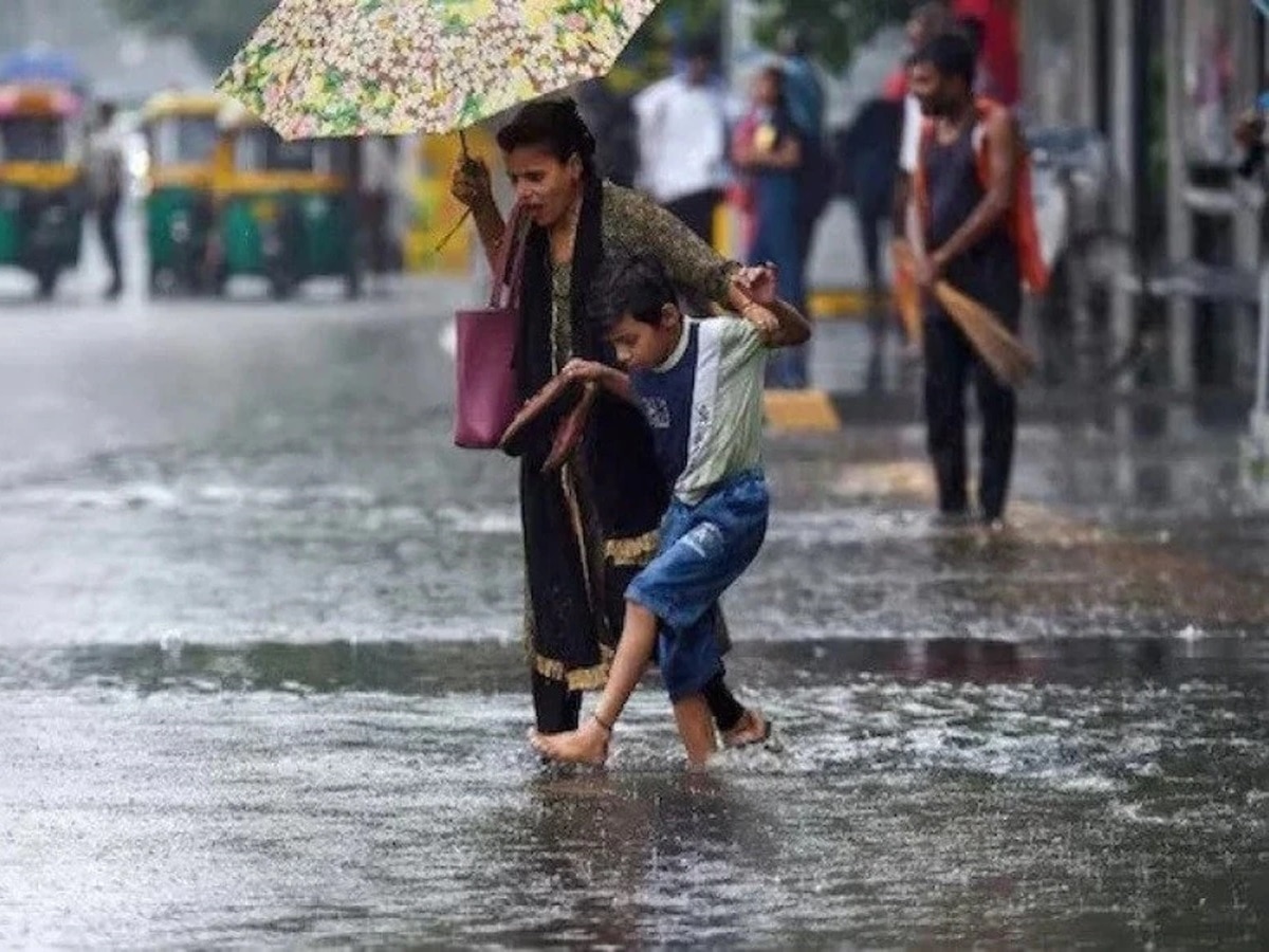 Kaimur News: पहली बारिश में ही जलमग्न हुआ शहर! सदर अस्पताल भभुआ में भी घुसा पानी, मरीज परेशान