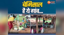 1000 फीट ऊंचाई पर बसे छत्तीसगढ़ के इस गांव की अनूठी परंपरा के आगे मॉर्डन जमाना फेल!