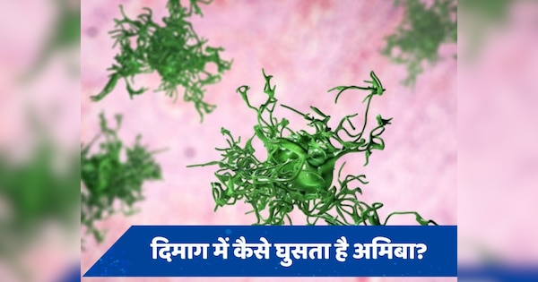 Brain Eating Amoeba: दिमाग में अमीबा घुसने के क्या हैं संकेत, जानें लक्षण और बचाव