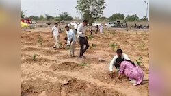 नगर परिषद ने शुरू किया पौधरोपण अभियान,1 लाख पौधे लगाने का लक्ष्य