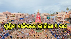 ଗୁଣ୍ଡିଚା ମନ୍ଦିରରେ ଲାଗିଲା ୩ ରଥ, ଭାଇ-ଭଉଣୀଙ୍କୁ ଧରି ମାଉସୀ ଘର ଗସ୍ତରେ କାଳିଆ ସାଆନ୍ତା