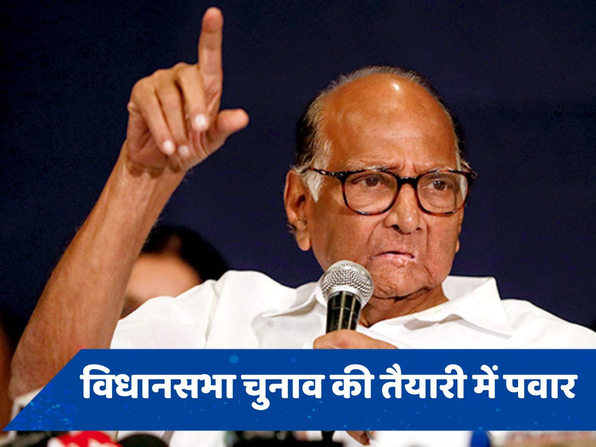 विधानसभा चुनाव से पहले शरद पवार की पार्टी को चुनाव आयोग से 'ग्रीन सिग्नल', ले सकेगी चंदा