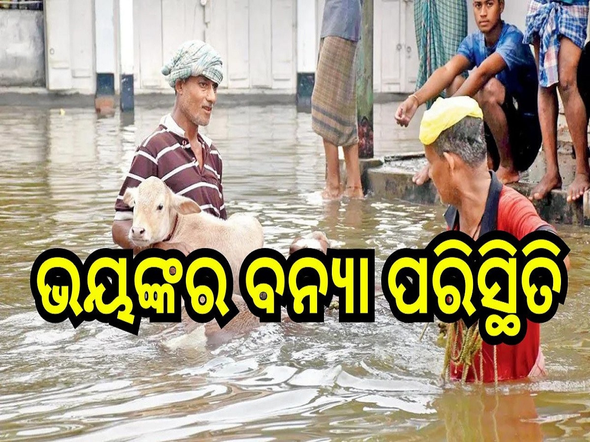 Assam Flood: ଭୟଙ୍କର ବନ୍ୟା ପରିସ୍ଥିତି, ୭୦ ଲୋକଙ୍କର ପ୍ରାଣହାନୀ ସହ ମଲେଣି ୧୩୦ରୁ ଉର୍ଦ୍ଧ୍ୱ ପଶୁ 