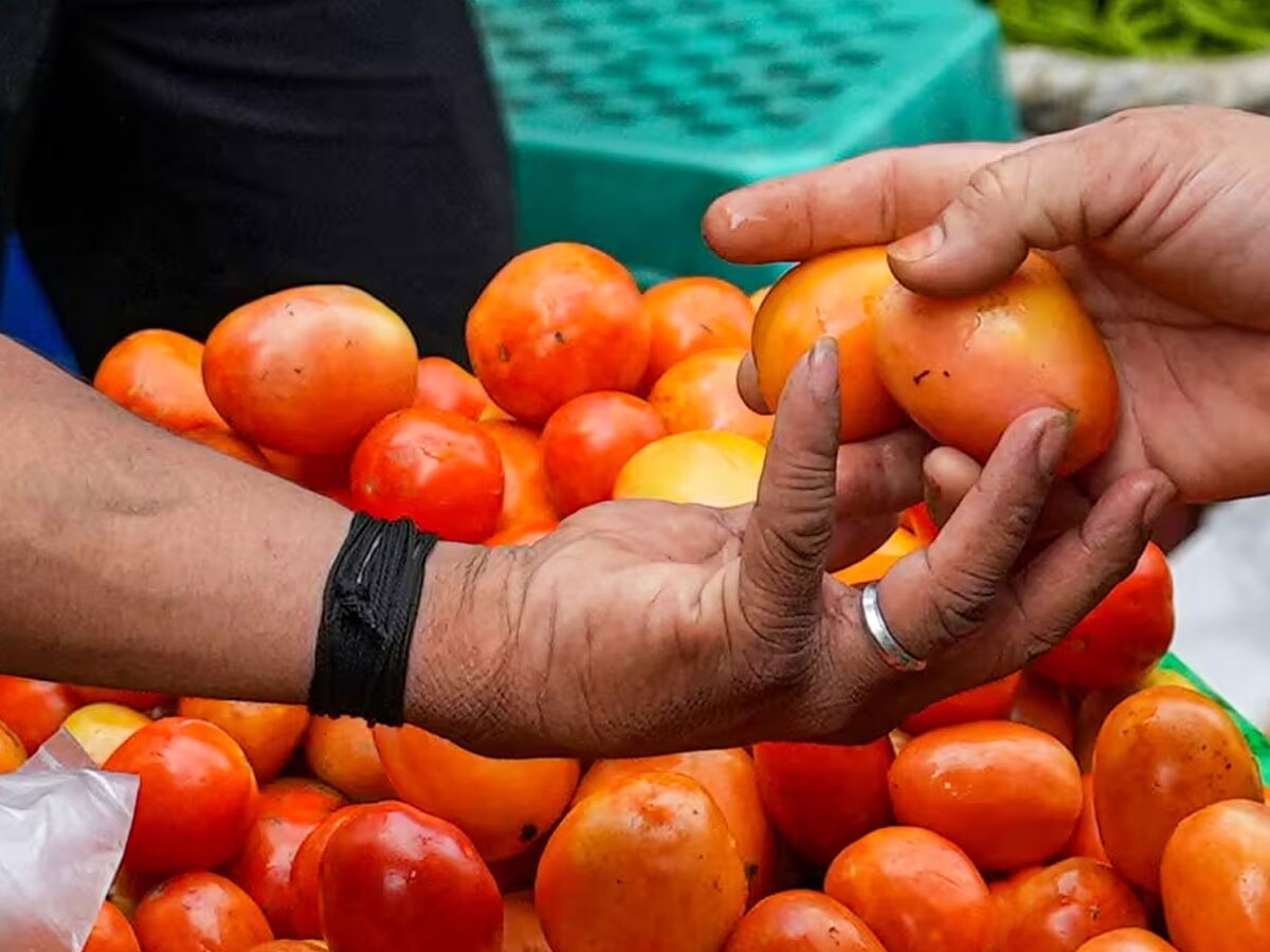 Tomato Price: तेजी से बढ़ा टमाटर का रेट, 100 रुपये क‍िलो पर पहुंचा दाम; जान‍िए कब तक होगा सस्‍ता?