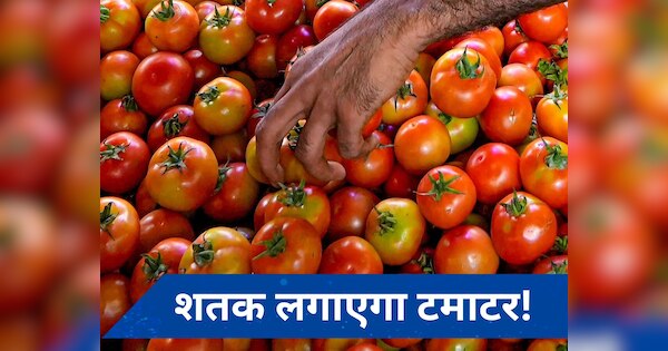 Tomato Price: दिल्ली-एनसीआर में सब्जियों के दाम बढ़ें! कितने का बिक रहा है टमाटर? जानें