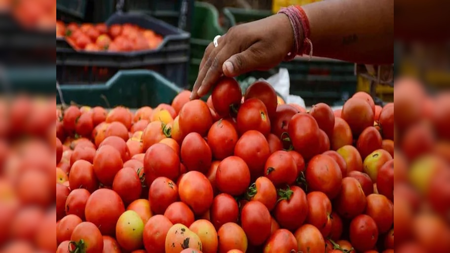 Delhi Tomato Price Hike: एक हफ्ते में 120 पहुंचा टमाटर का दाम, क्या है वजह? पूरी डिटेल