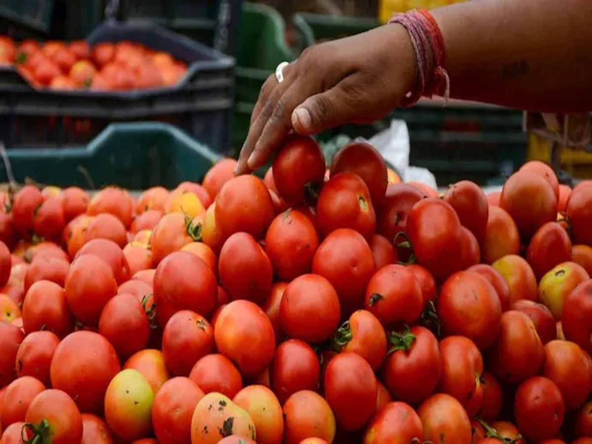 Delhi Tomato Price Hike: एक हफ्ते में 120 पहुंचा टमाटर का दाम, क्या है वजह? पूरी डिटेल Delhi Tomato Price Hike: एक हफ्ते में 120 पहुंचा टमाटर का दाम, क्या है वजह? पूरी डिटेल