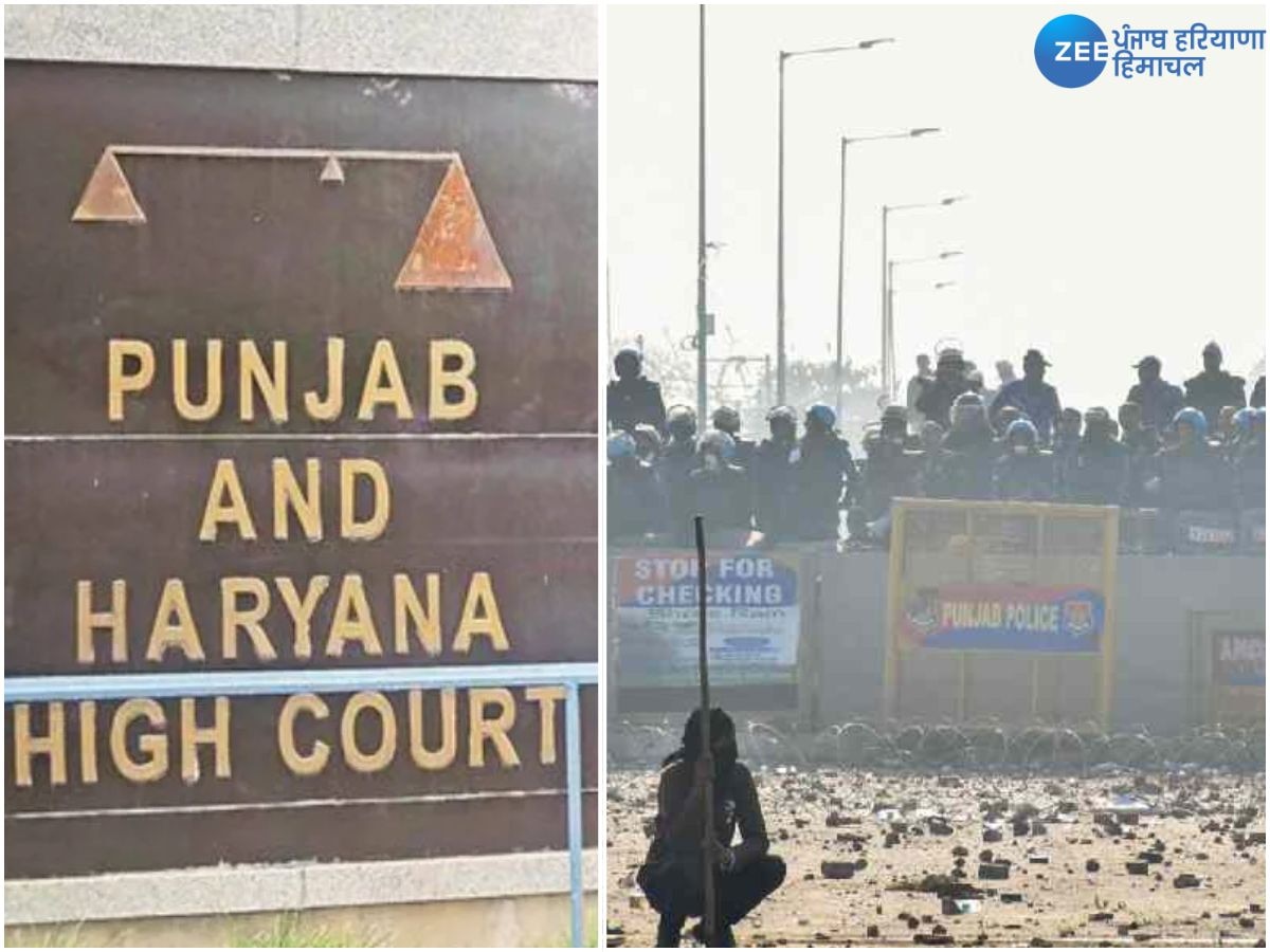 HC to Haryana Government: ਪੰਜਾਬ ਹਰਿਆਣਾ ਹਾਈਕੋਰਟ ਨੇ ਹਰਿਆਣਾ ਸਰਕਾਰ ਨੂੰ ਸ਼ੰਭੂ ਬਾਰਡਰ ਨੂੰ ਖੋਲ੍ਹਣ ਦੇ ਹੁਕਮ ਦਿੱਤੇ