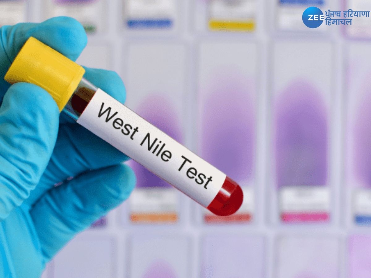 West Nile Fever: ਨੀਲ ਬੁਖਾਰ ਕਾਰਨ ਇਜ਼ਰਾਈਲ 'ਚ 15 ਲੋਕਾਂ ਦੀ ਮੌਤ, ਜਾਣੋ ਇਸ ਦੇ ਲੱਛਣ ਅਤੇ ਬਚਾਅ ਦੇ ਉਪਾਅ