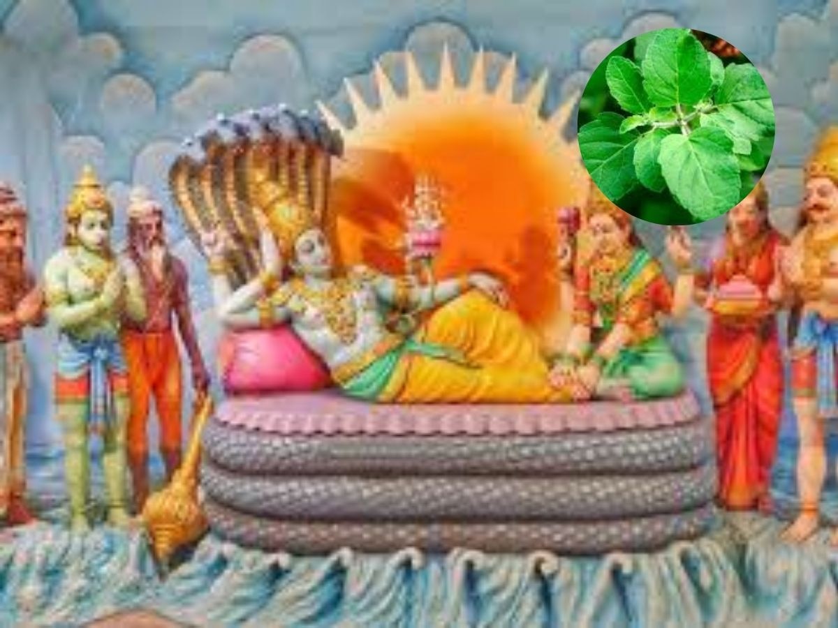 ekadashi tulsi upay