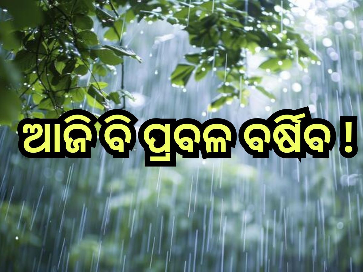 Weather Update: ବଢିବ ବର୍ଷାର ପରିମାଣ, ୪୮ ଘଣ୍ଟା ପାଇଁ ଏହିସବୁ ଜିଲ୍ଲାକୁ ୟେଲୋ ଆଲର୍ଟ