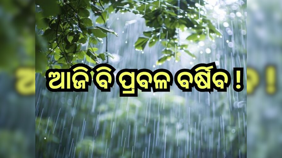 Weather Update: ବଢିବ ବର୍ଷାର ପରିମାଣ, ୪୮ ଘଣ୍ଟା ପାଇଁ ଏହିସବୁ ଜିଲ୍ଲାକୁ ୟେଲୋ ଆଲର୍ଟ