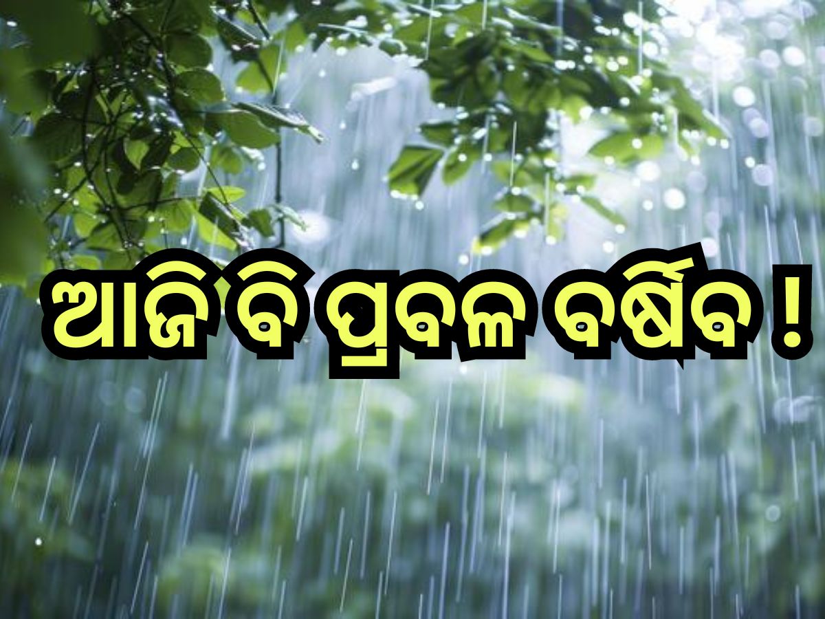 Weather Update: ବଢିବ ବର୍ଷାର ପରିମାଣ, ୪୮ ଘଣ୍ଟା ପାଇଁ ଏହିସବୁ ଜିଲ୍ଲାକୁ ୟେଲୋ ଆଲର୍ଟ Weather Update: ବଢିବ ବର୍ଷାର ପରିମାଣ, ୪୮ ଘଣ୍ଟା ପାଇଁ ଏହିସବୁ ଜିଲ୍ଲାକୁ ୟେଲୋ ଆଲର୍ଟ