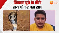 पिछले जन्म का बदला ले रहा नाग! सात बार सांप का शिकार बने विकास दुबे ने सुनाई कहानी