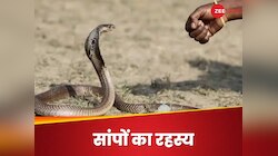 Vikas dubey: एक शख्‍स को सात बार सांप ने काटा, क्‍या बदला ले रही नागिन?