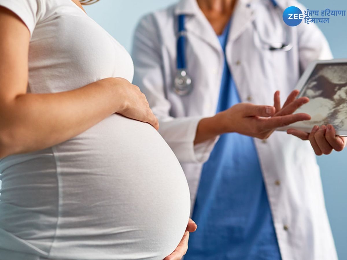 Pregnancy Care Tips: ਮਾਨਸੂਨ ਦੌਰਾਨ ਗਰਭਵਤੀ ਔਰਤਾਂ ਬਿਮਾਰੀਆਂ ਤੋਂ ਦੂਰ ਰਹਿਣ ਲਈ ਇਨ੍ਹਾਂ ਗੱਲਾਂ ਦਾ ਰੱਖਣ ਧਿਆਨ 