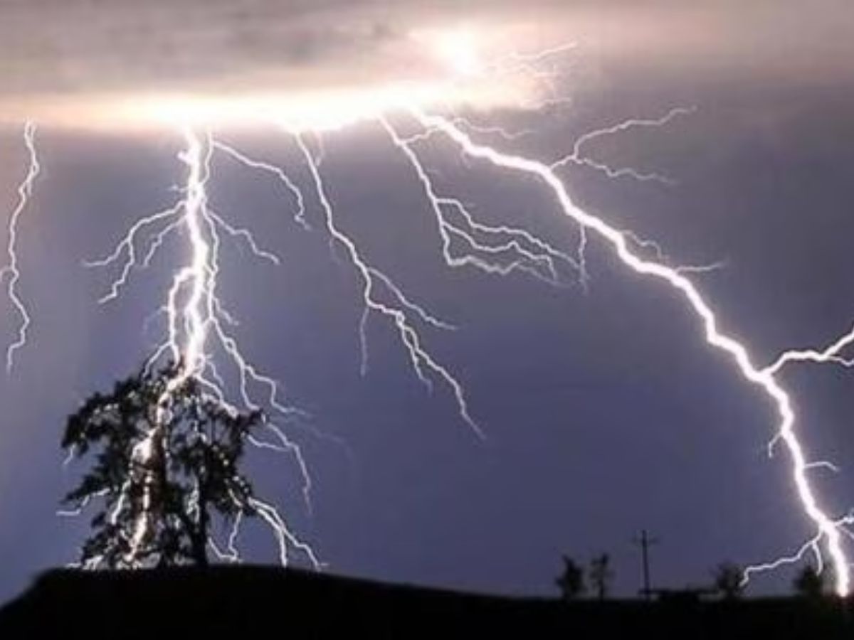 बिहार और उत्तर प्रदेश में बिजली गिरने से कम से कम 60 लोगों की मौत