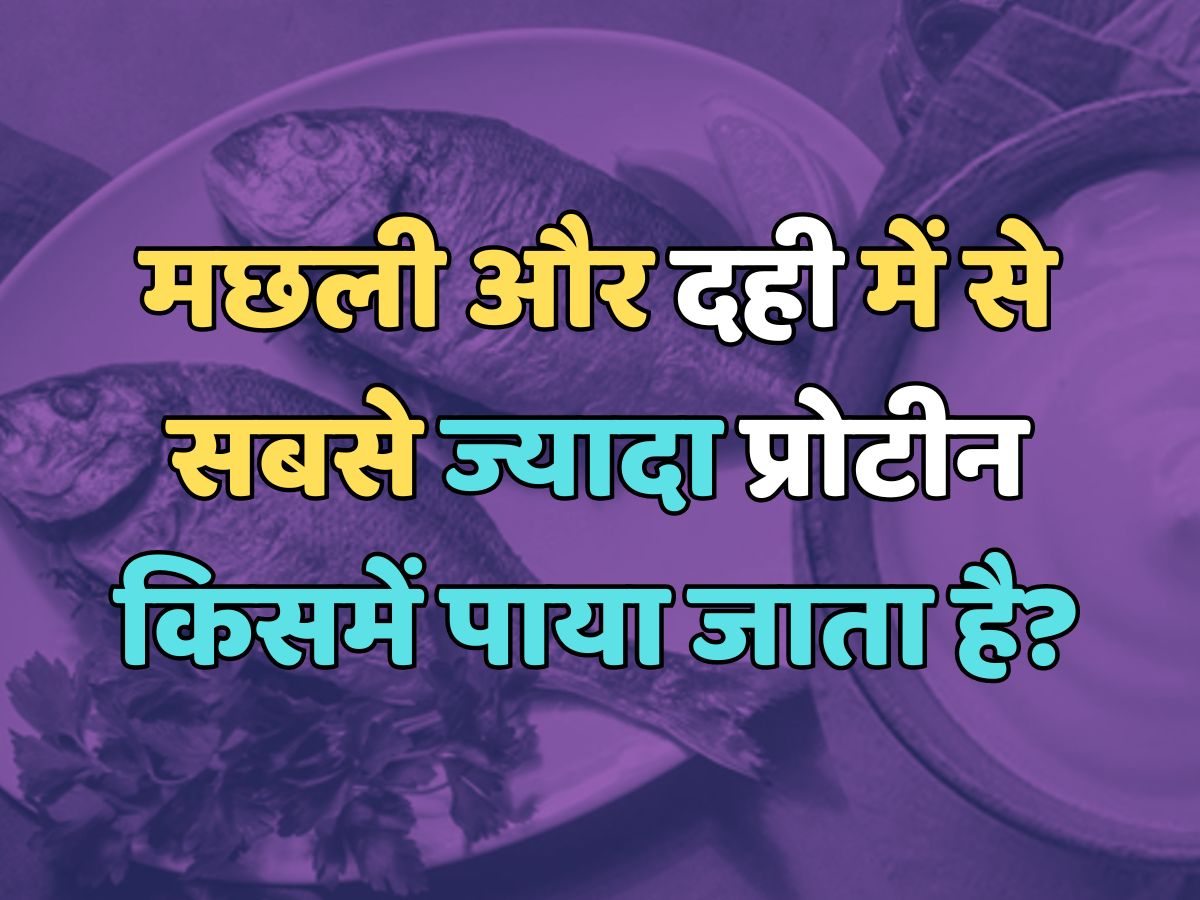 Trending Quiz : मछली और दही में से सबसे ज्यादा प्रोटीन किसमें पाया जाता है?