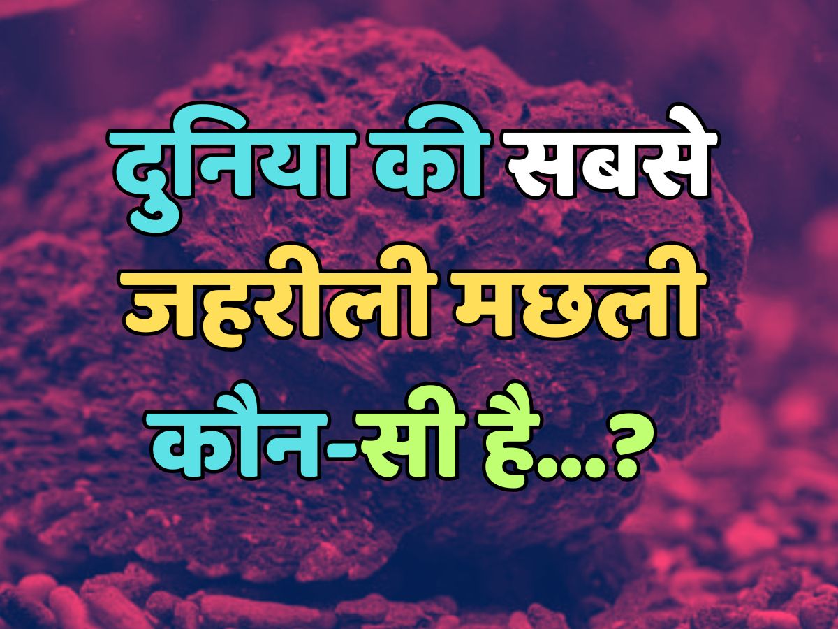 Trending Quiz : दुनिया की सबसे जहरीली मछली कौन-सी है? 