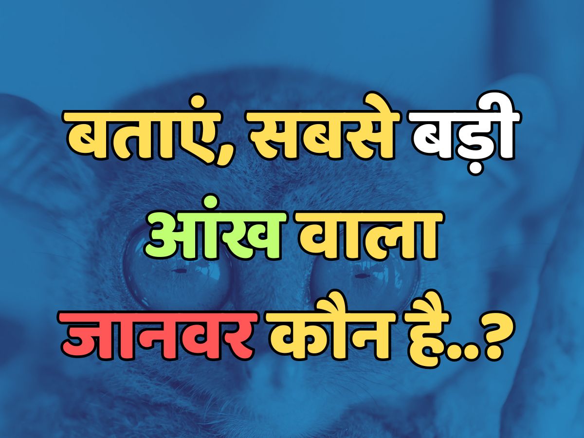 Trending Quiz : सबसे बड़ी आंख वाला जानवर कौन है? 