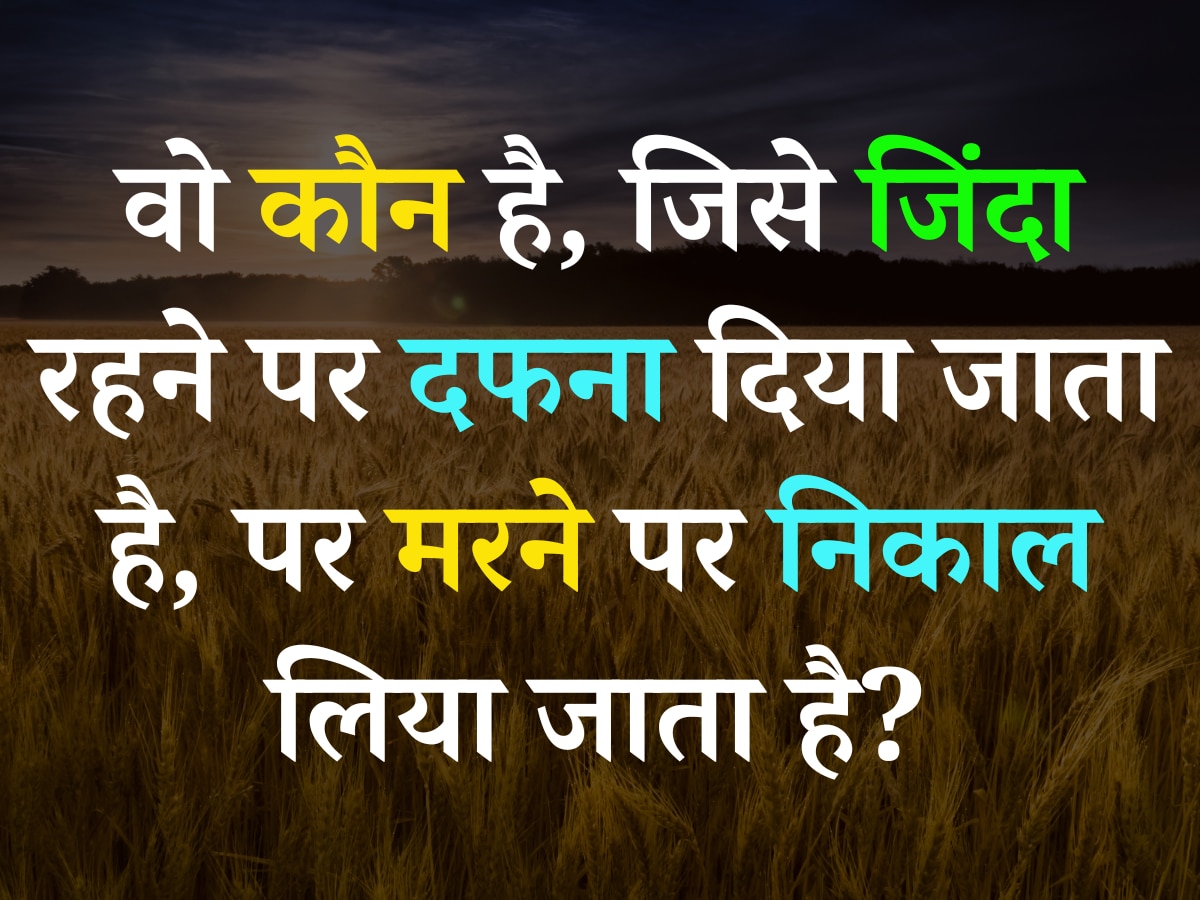 Quiz: वो कौन है, जिसे जिंदा रहने पर दफना दिया जाता है, पर मरने पर निकाल लिया जाता है?