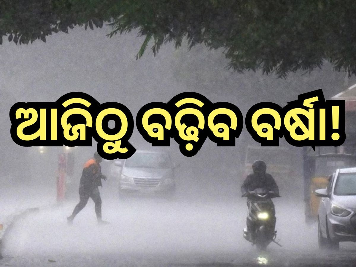 Weather Update: ଆଜି ପ୍ରବଳ ବର୍ଷା ନେଇ ଏହିସବୁ ଜିଲ୍ଲାକୁ ୟେଲୋ ଆଲର୍ଟ ଜାରି 