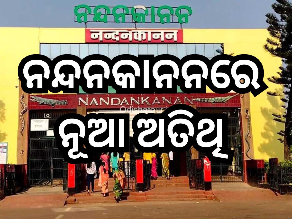 Nandankanan: ନନ୍ଦନକାନନକୁ ଆସିଲେ ୧୮ ନୂଆ ଅତିଥି Nandankanan: ନନ୍ଦନକାନନକୁ ଆସିଲେ ୧୮ ନୂଆ ଅତିଥି
