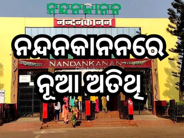Nandankanan: ନନ୍ଦନକାନନକୁ ଆସିଲେ ୧୮ ନୂଆ ଅତିଥି