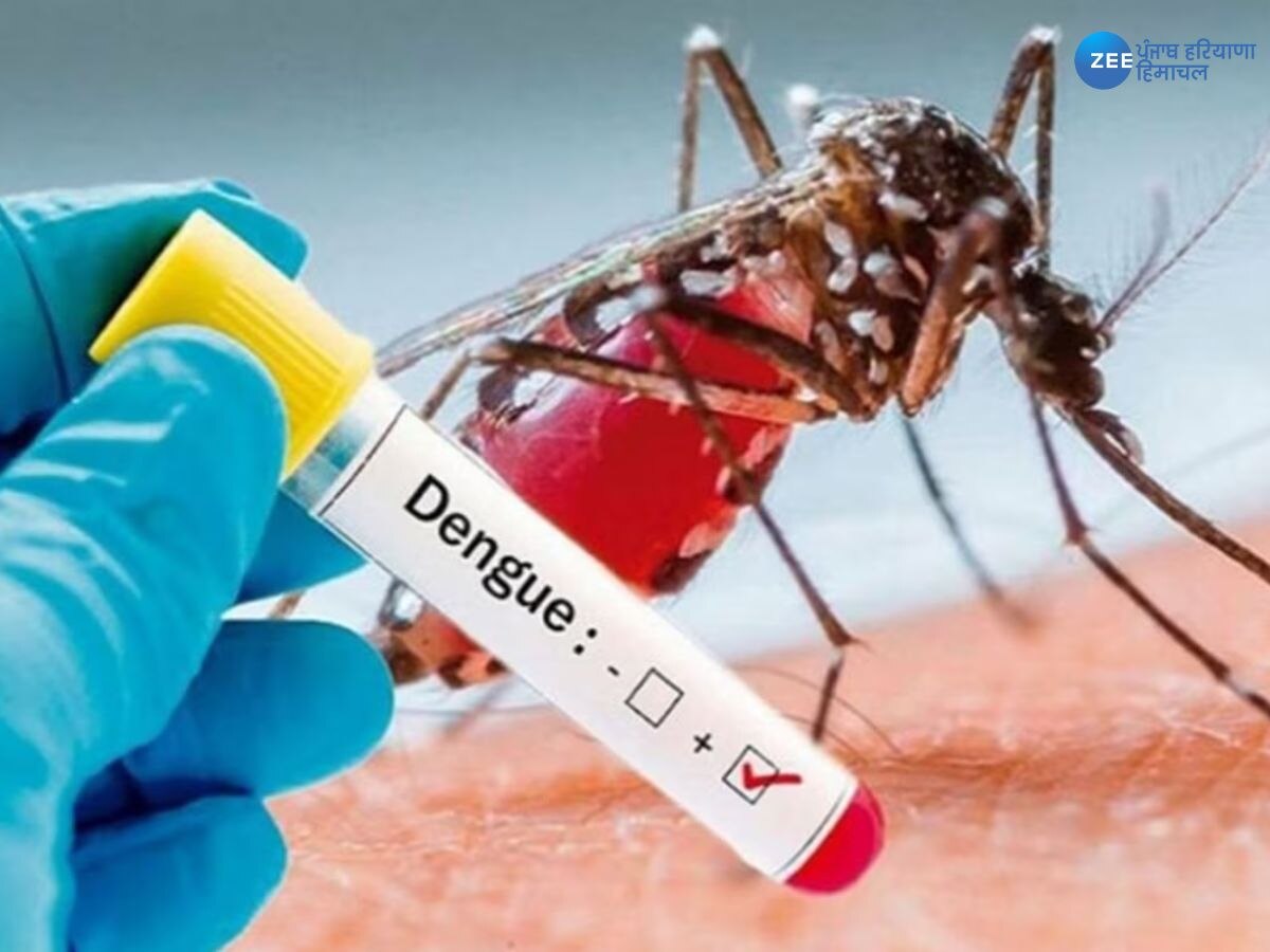 Dengue Case: जिला सिरमौर में लगातार बढ़ रहा है डेंगू का कहर! 137 केस आए सामने