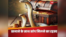 खजाने के पास नाग ही क्‍यों रहते हैं? क्‍या है मां लक्ष्‍मी का सांपों से कनेक्‍शन? 