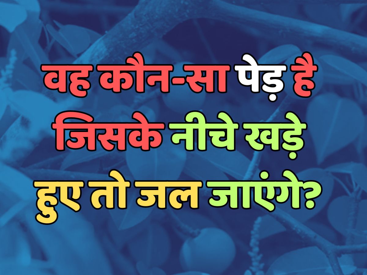 Trending Quiz : वह कौन-सा पेड़ है, जिसके नीचे खड़े हुए तो जल जाएंगे?
