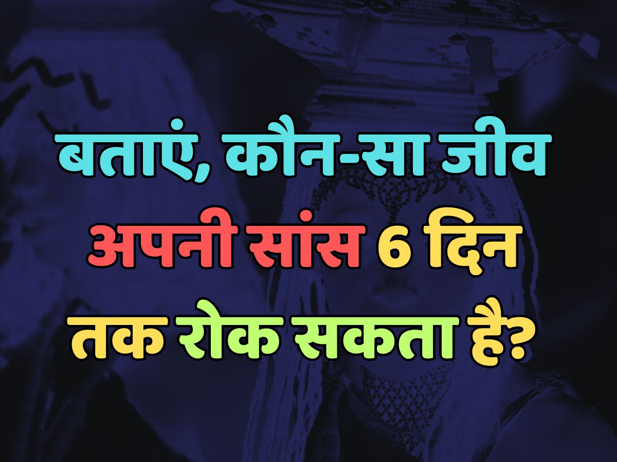 Trending Quiz : कौन-सा जीव अपनी सांस 6 दिन तक रोक सकता है?