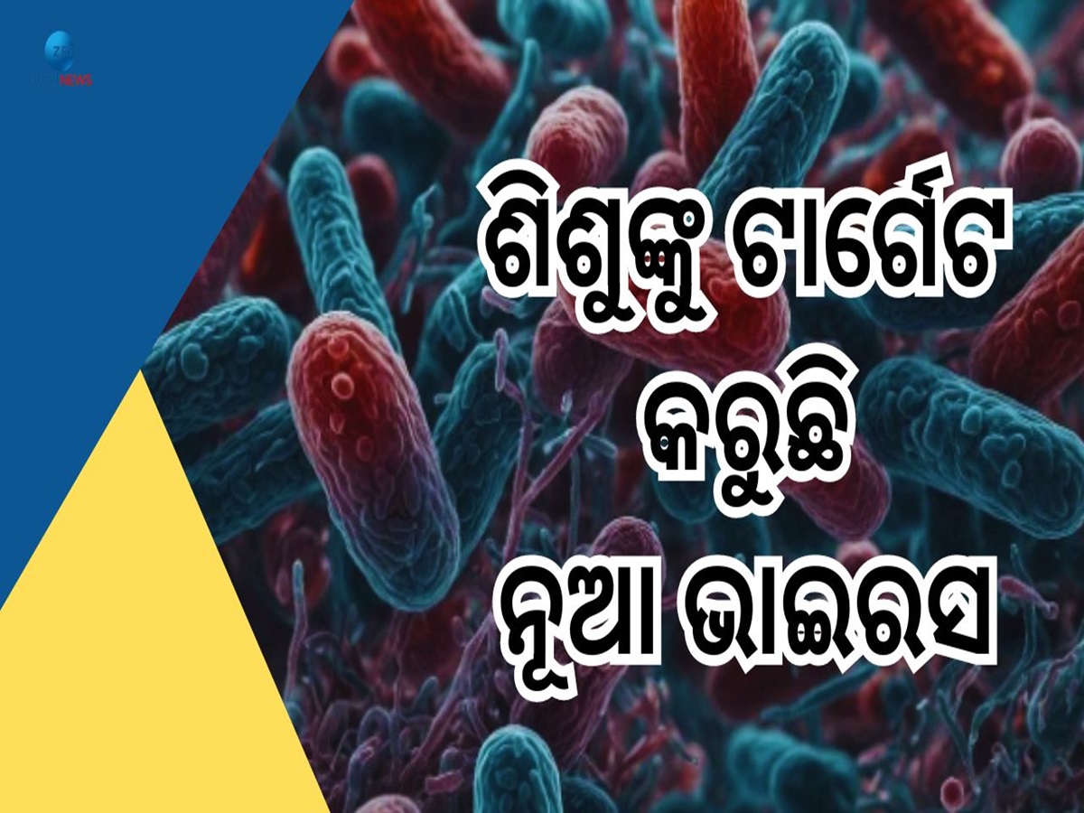 Chandipura Virus: ଆତଙ୍କ ଖେଳାଇଲାଣି ଚାନ୍ଦିପୂରା ଭାଇରସ, ପ୍ରାଣ ହାରୁଛନ୍ତି ଶିଶୁ Chandipura Virus: ଆତଙ୍କ ଖେଳାଇଲାଣି ଚାନ୍ଦିପୂରା ଭାଇରସ, ପ୍ରାଣ ହାରୁଛନ୍ତି ଶିଶୁ