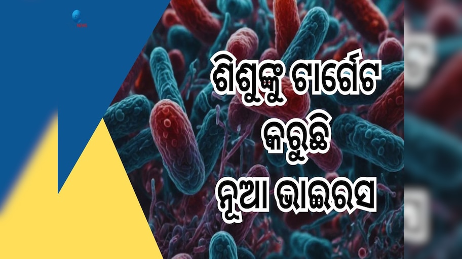 Chandipura Virus: ଆତଙ୍କ ଖେଳାଇଲାଣି ଚାନ୍ଦିପୂରା ଭାଇରସ, ପ୍ରାଣ ହାରୁଛନ୍ତି ଶିଶୁ 