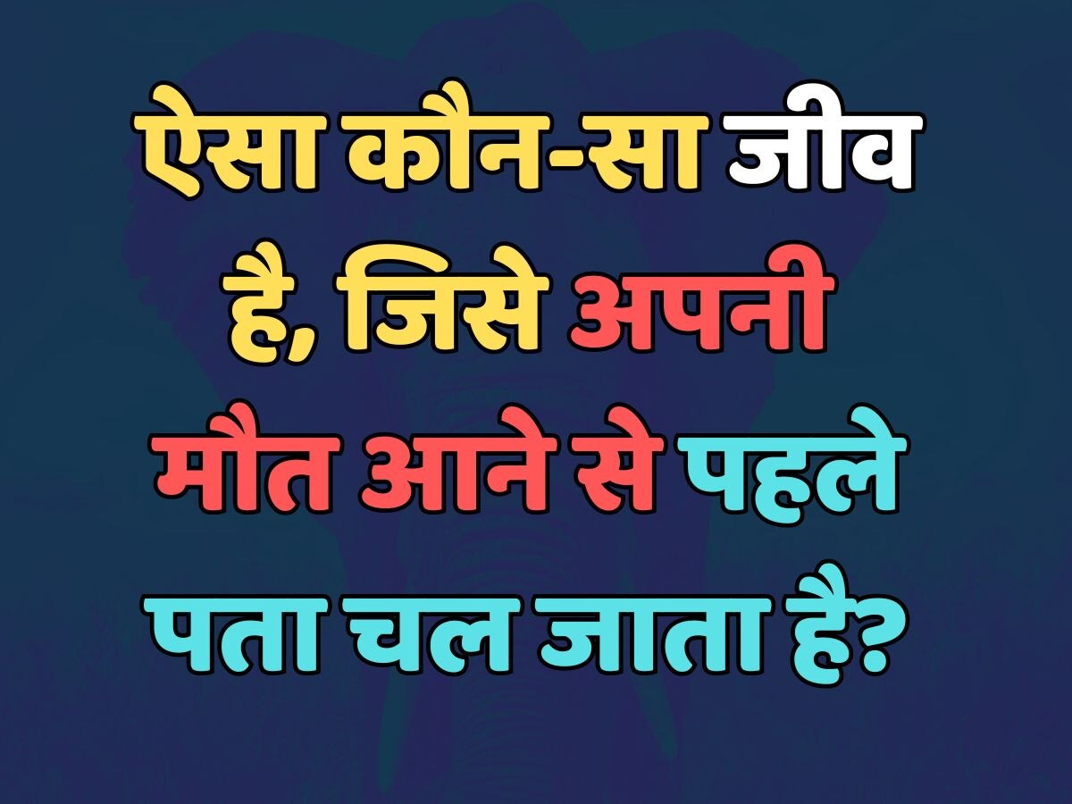 Trending Quiz : ऐसा कौन सा जीव है, जिसे अपनी मौत आने से पहले पता चल जाता है?