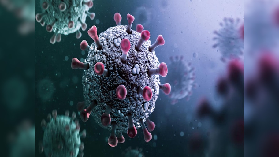 Chandipura virus: राजस्थान में चांदीपुरा वायरस का प्रकोप, उदयपुर के एक मासूम की मौत