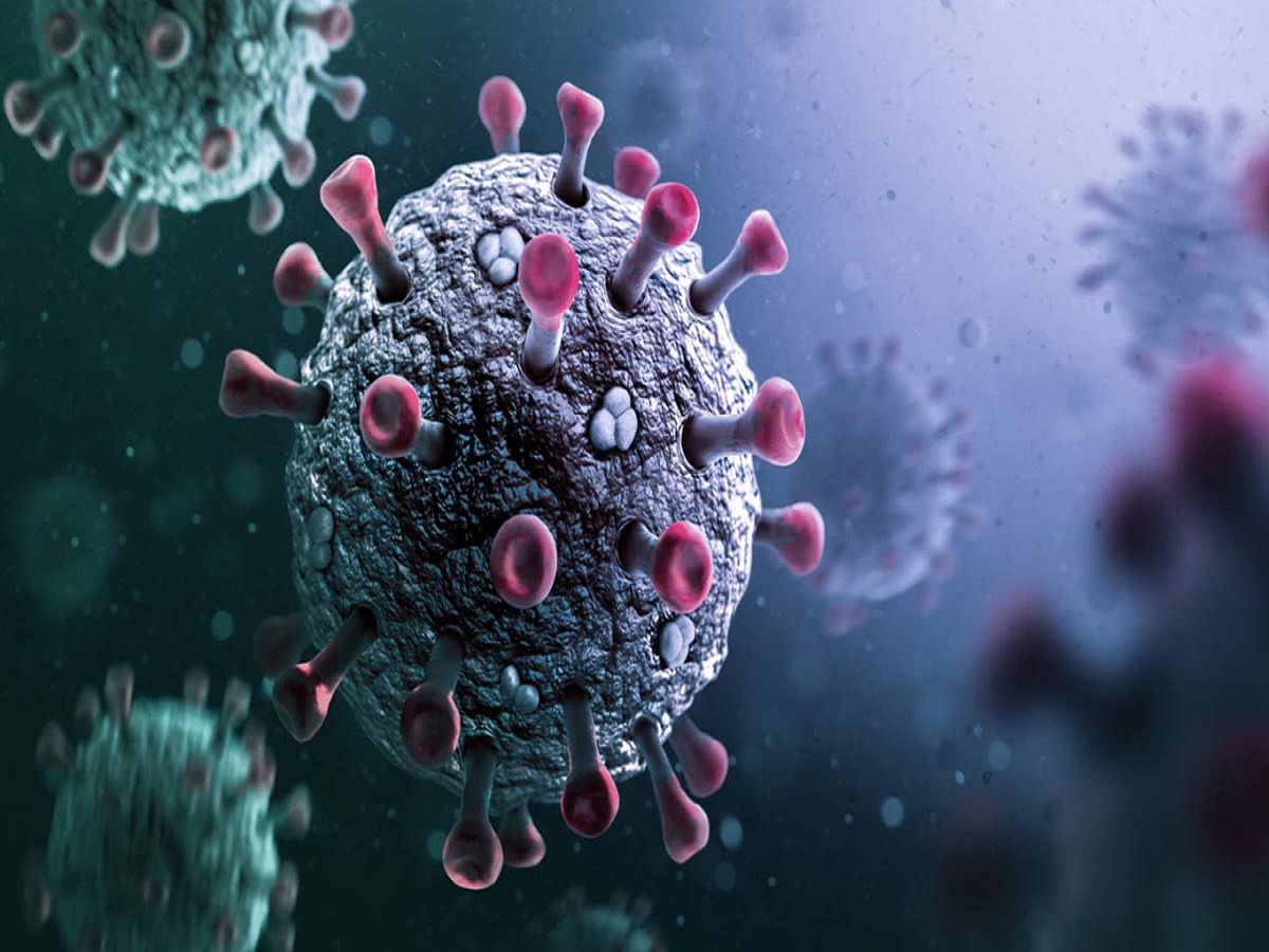 Chandipura virus: राजस्थान में चांदीपुरा वायरस का प्रकोप, उदयपुर के एक मासूम की मौत Chandipura virus: राजस्थान में चांदीपुरा वायरस का प्रकोप, उदयपुर के एक मासूम की मौत