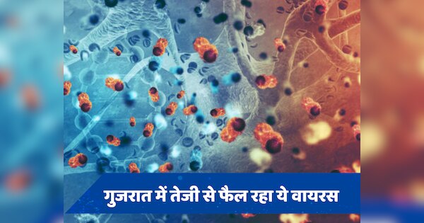 Chandipura Virus: गुजरात में तेजी से फैल रहा यह खतरनाक वायरस, जानें क्या है इसका लक्षण और इलाज