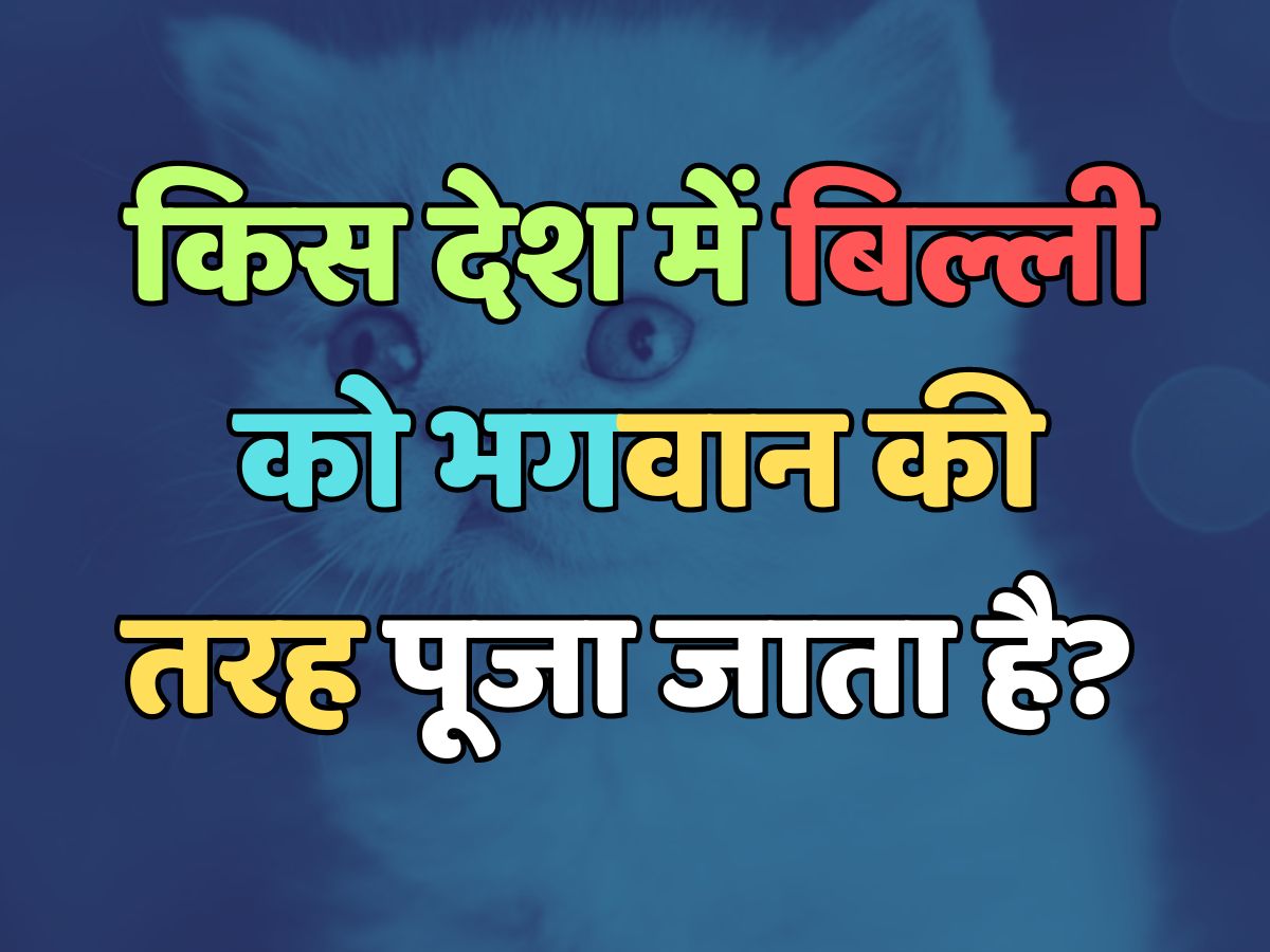 Trending Quiz : किस देश में बिल्ली को भगवान की तरह पूजा जाता है? 