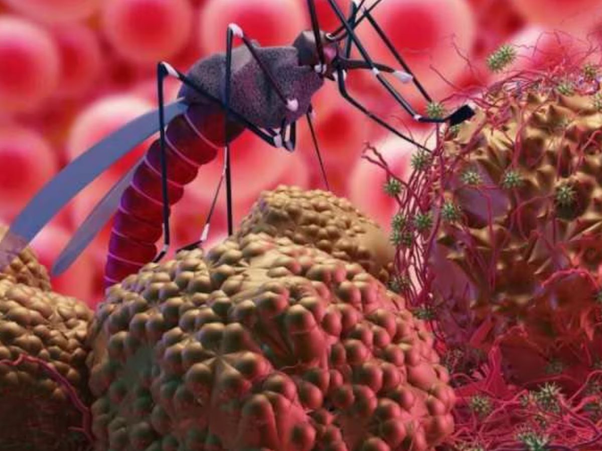 Chandipura Virus: कहां से आया कोमा में पहुंचाने वाला 'चांदीपुरा वायरस', राजस्थान में कैसे पहुंचा मौत का सौदागर?