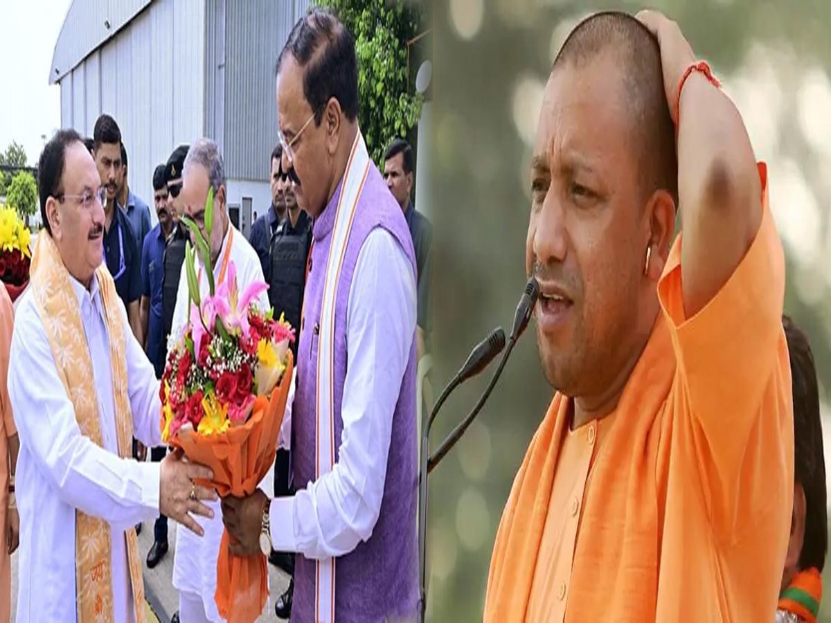 UP News: CM योगी से अनबन के बीच उपमुख्यमंत्री मौर्य की नड्डा से मुलाकात के क्या हैं मतलब? UP News: CM योगी से अनबन के बीच उपमुख्यमंत्री मौर्य की नड्डा से मुलाकात के क्या हैं मतलब?