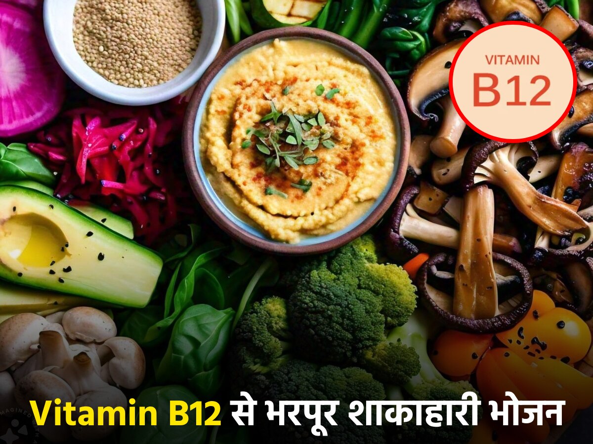 शाकाहारियों के लिए वरदान हैं ये 5 फूड, जीवन में कभी नहीं होगी Vitamin B12 की कमी!