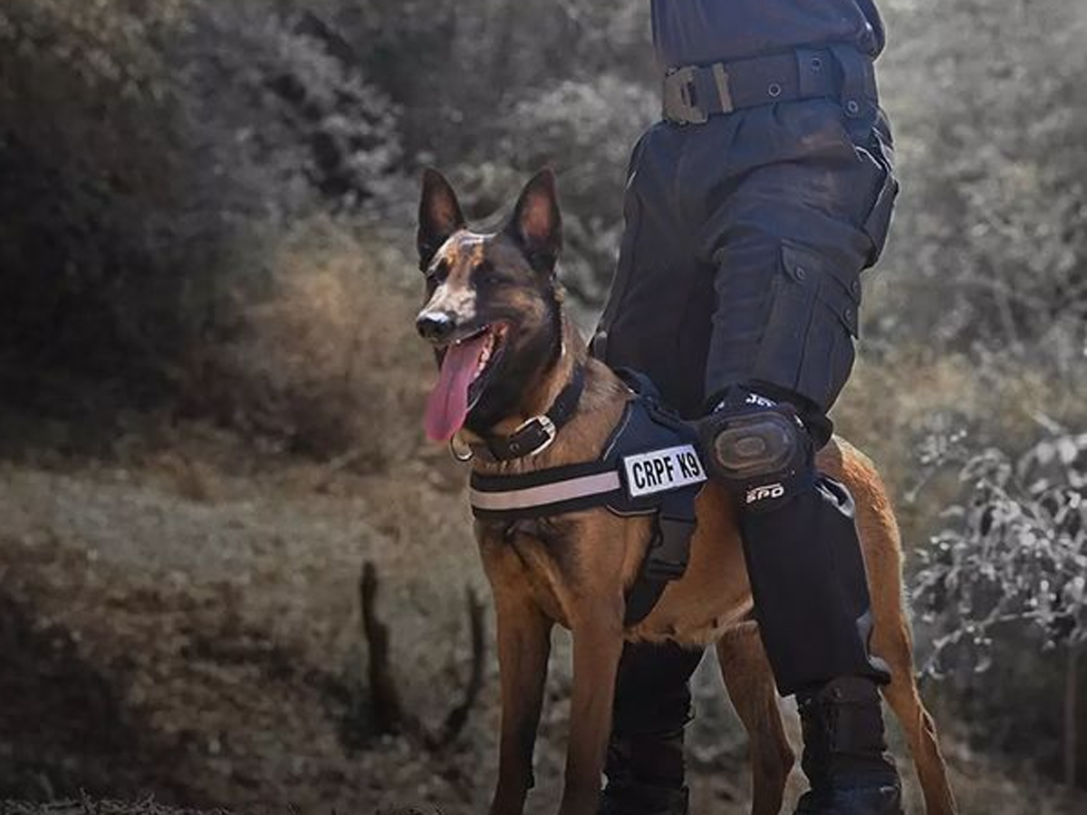 गजब की है इनकी क्षमता