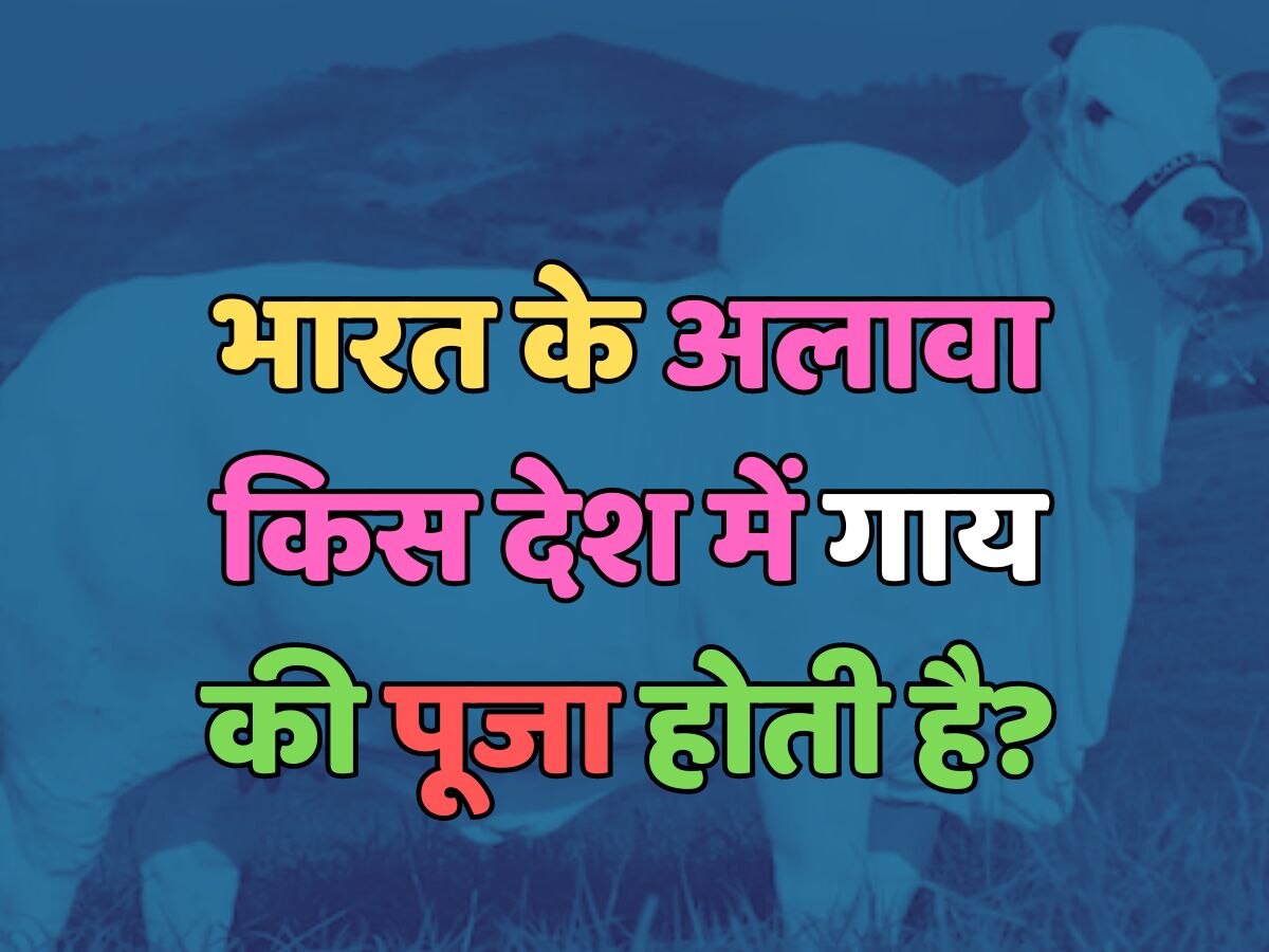 Apart from India in which country is cow worshipped