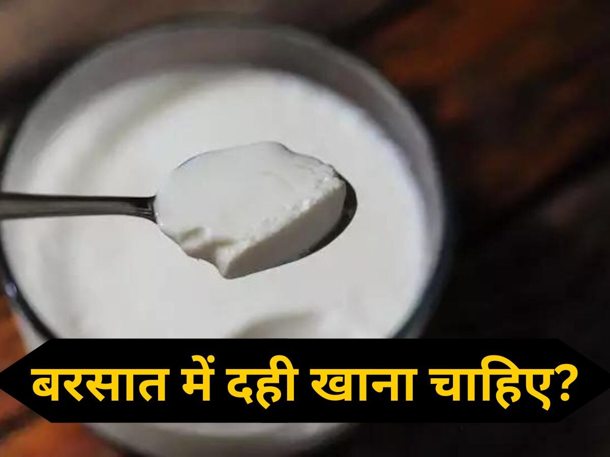 Curd in Monsoon: बरसात के मौसम में दही खाना चाहिए या नहीं? एक्सपर्ट से जानें हकीकत