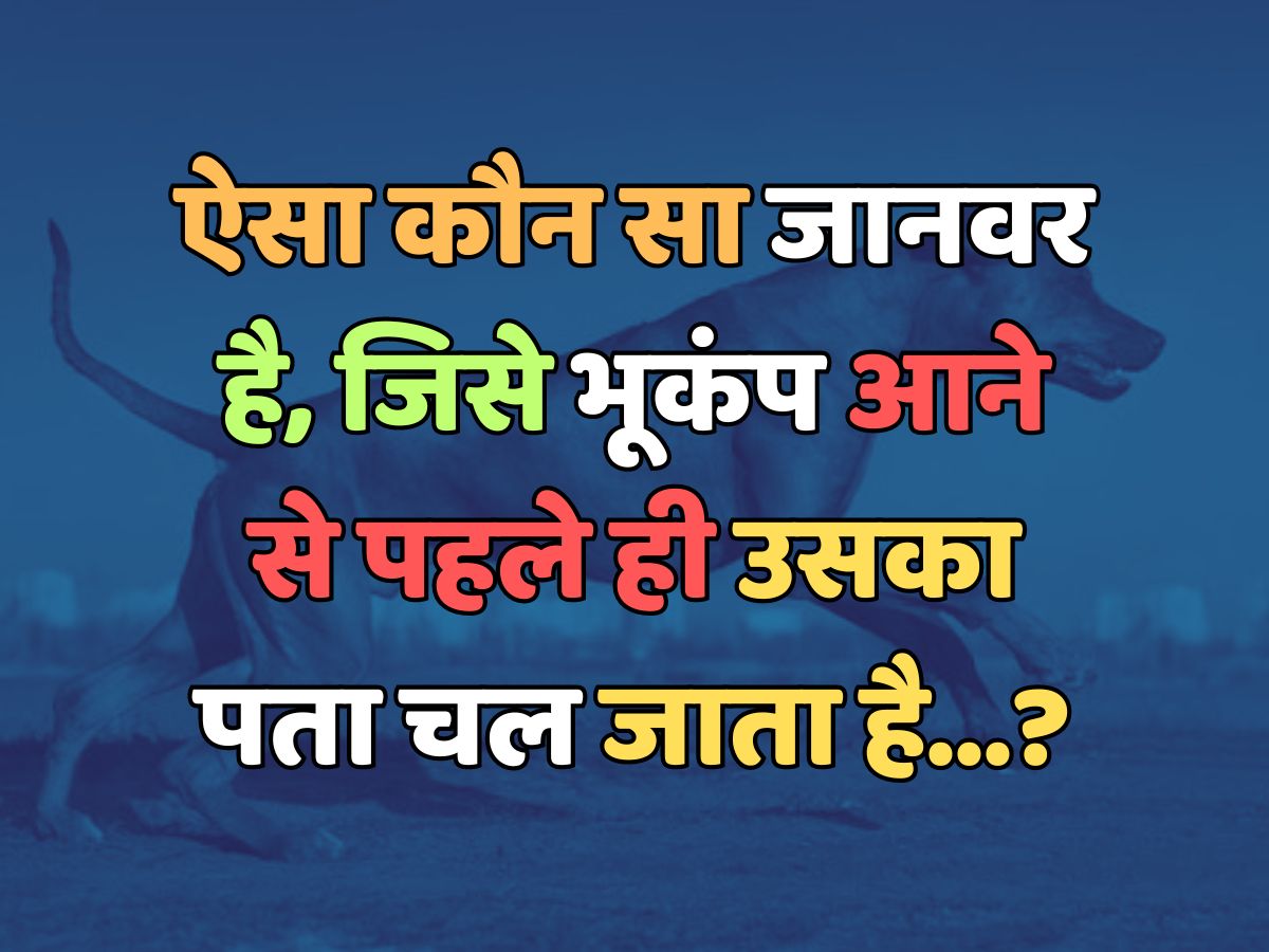 Trending Quiz : ऐसा कौन सा जानवर है, जिसे भूकंप आने से पहले ही उसका पता चल जाता है?